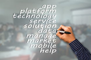 九游sports-中国篮球赛事品牌建设与市场营销分析,篮球品牌市场占有率