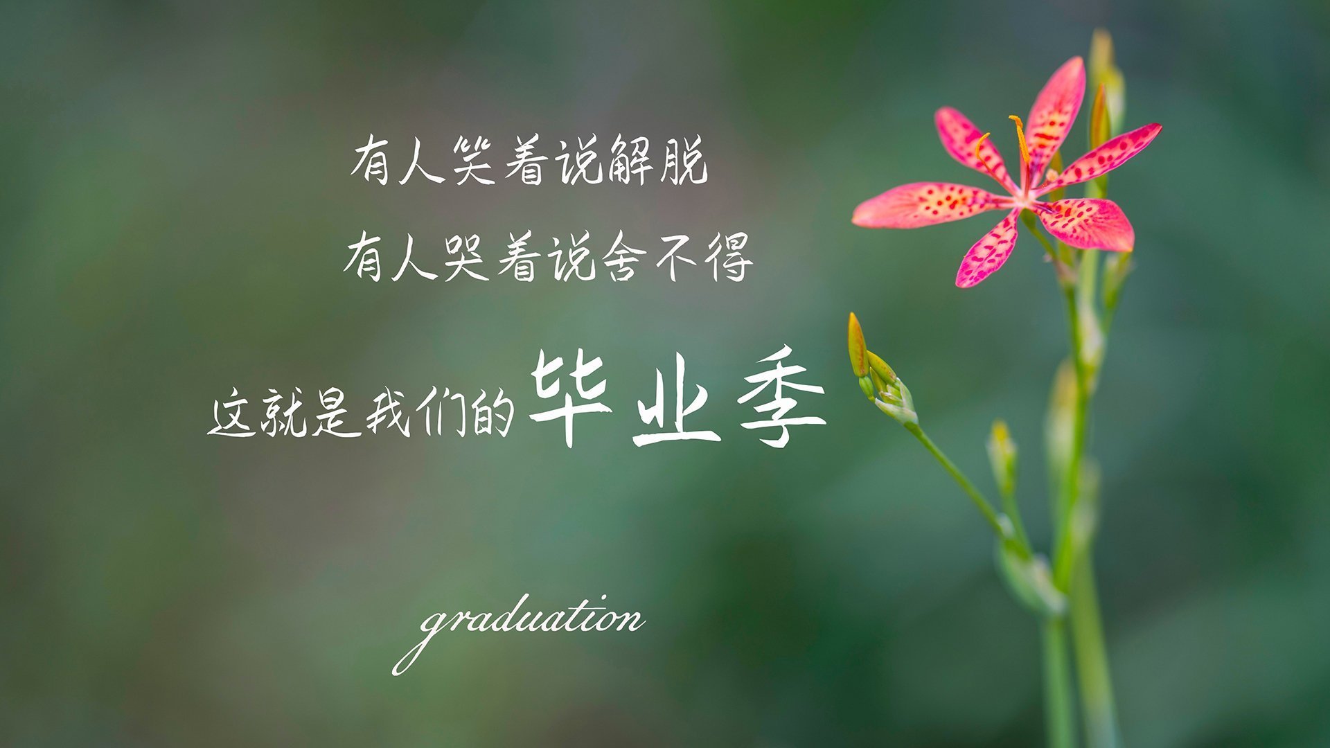 九游体育网页版-体育赛事风险控制措施,体育赛事风险控制方法