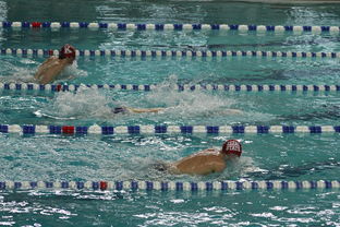 九游娱乐网站体验棒-全国公开水域游泳赛长江赛段人气爆棚