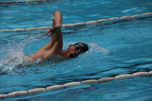 九游娱乐网站体验棒-全国公开水域游泳赛长江赛段人气爆棚