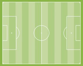 Jiuyou-中国足球场地适应性影响因素,足球场地分析