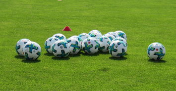 Jiuyou-中国足球场地适应性影响因素,足球场地分析