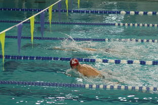 九游娱乐网站体验棒-全国公开水域游泳赛长江赛段人气爆棚