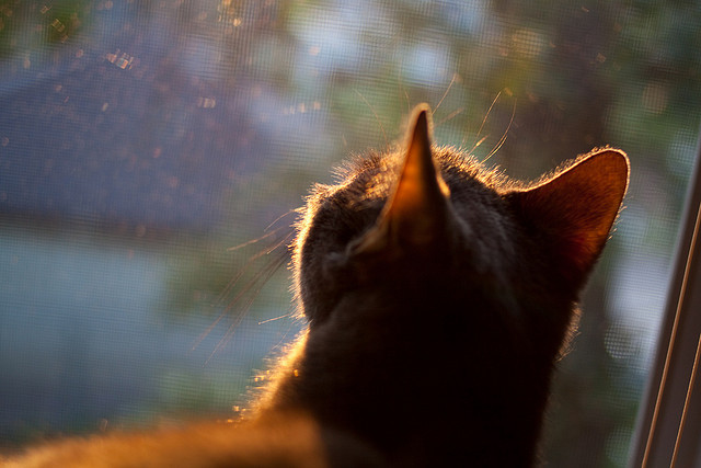 九游娱乐电竞站-国足球队场上指挥数据追踪,国足技术统计